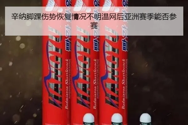 辛纳脚踝伤势恢复情况不明温网后亚洲赛季能否参赛