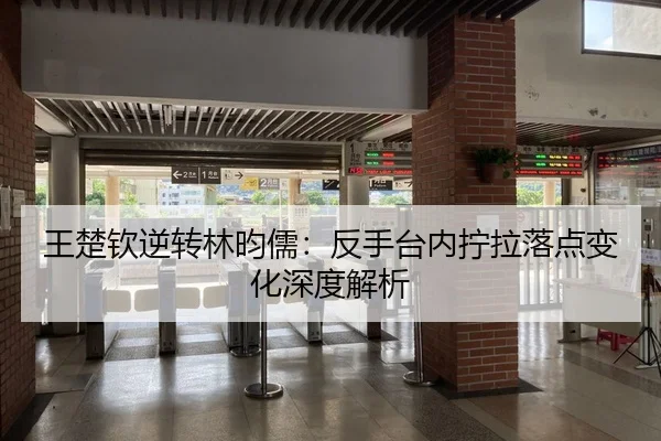 王楚钦逆转林昀儒：反手台内拧拉落点变化深度解析